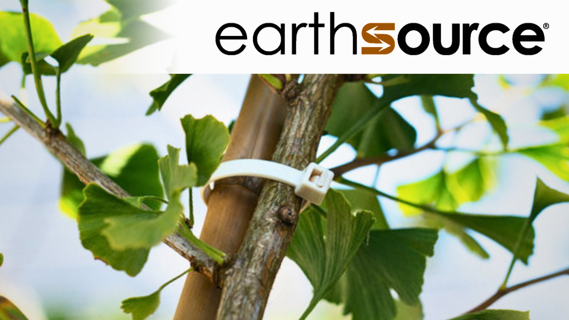 Biodegradable cable ties