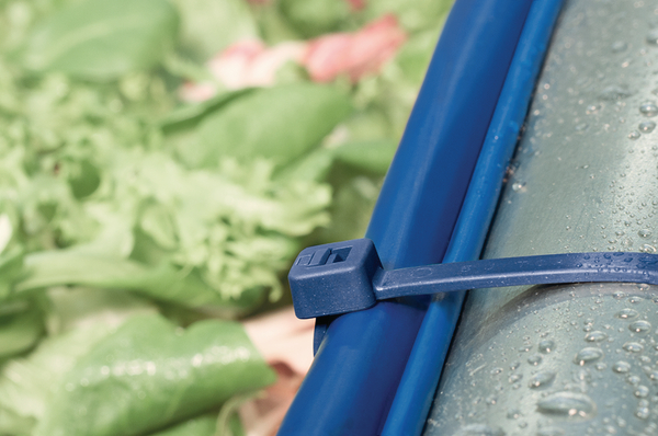 X-ray and metal detectable cable ties